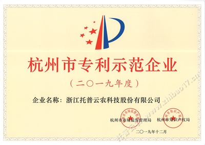201912`杭州专利示范企业_副本.jpg